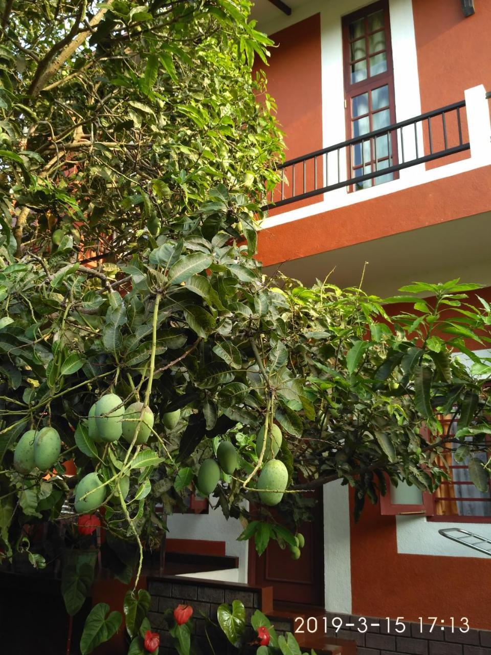 Nilas Guesthouse Hikkaduwa Εξωτερικό φωτογραφία